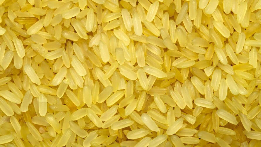 Advantages And Disadvantages Of Golden Rice